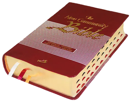 New Community Bible: Pocket Edition | Leather PU | Thumb Index | Golden Edge | Red - Retail Maharaj