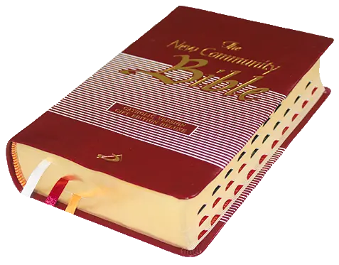 New Community Bible: Standard Edition | Leather PU | Thumb Index | Golden Edge | Red - Retail Maharaj