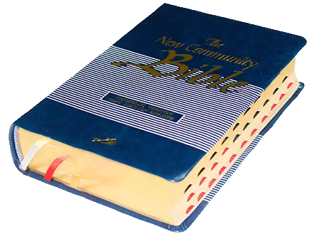 New Community Bible: Standard Edition | Leather PU | Thumb Index | Golden Edge | Blue - Retail Maharaj