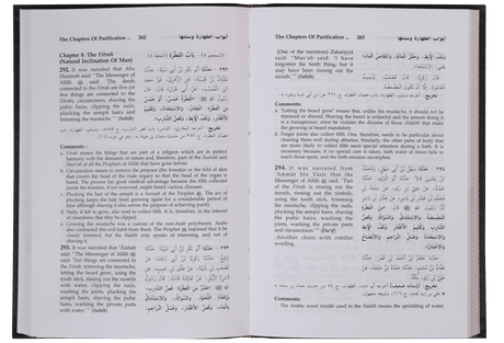 Sunan Ibn Majah (5 Vol. Set) - Retail Maharaj