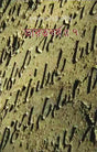 BHARAT BARSHA (VOL.VII) (Bengali Version) - Retail Maharaj