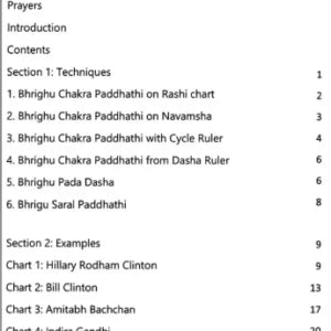 Timing of Marriage Using Bhrighu Astrology [SA] - Retail Maharaj