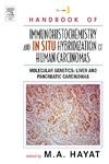 Handbook of Immunohistochemistry and in situ Hybridization of Human Carcinomas: Molecular Genetics: Liver and Pancreatic Carcinomas V3 - Retail Maharaj