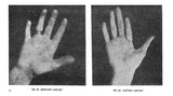 The Laws Of Scientific Hand Reading By William G. Benham - Paperback [Paperback] William G. Benham - Retail Maharaj
