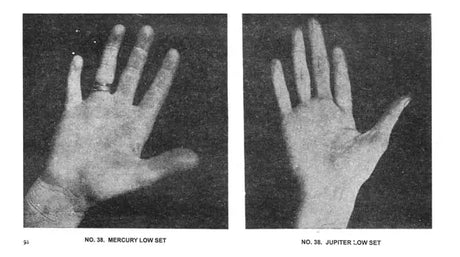 The Laws Of Scientific Hand Reading By William G. Benham - Paperback [Paperback] William G. Benham - Retail Maharaj