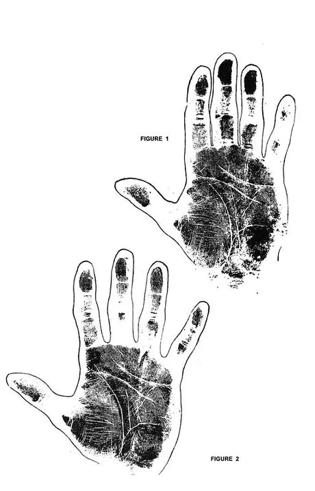 The Laws Of Scientific Hand Reading By William G. Benham - Paperback [Paperback] William G. Benham - Retail Maharaj