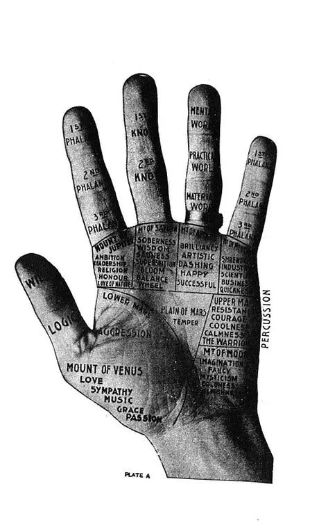 The Laws Of Scientific Hand Reading By William G. Benham - Paperback [Paperback] William G. Benham - Retail Maharaj