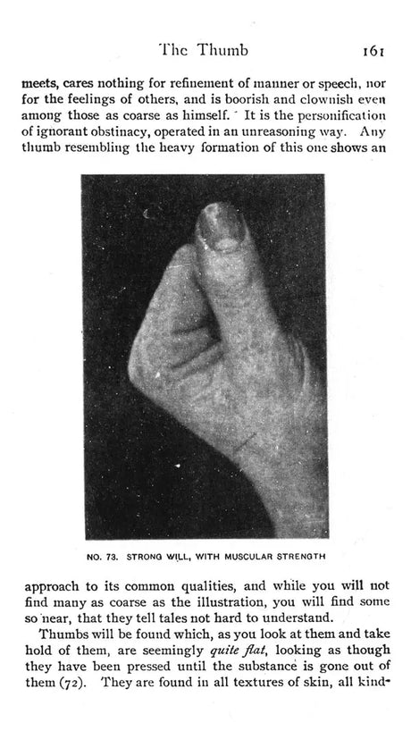 The Laws Of Scientific Hand Reading By William G. Benham - Paperback [Paperback] William G. Benham - Retail Maharaj