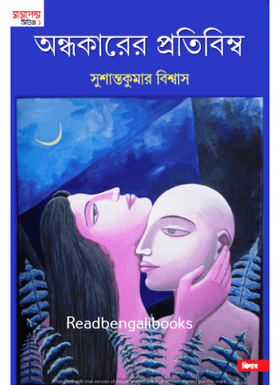 Andhakarer Pratibimba - Retail Maharaj