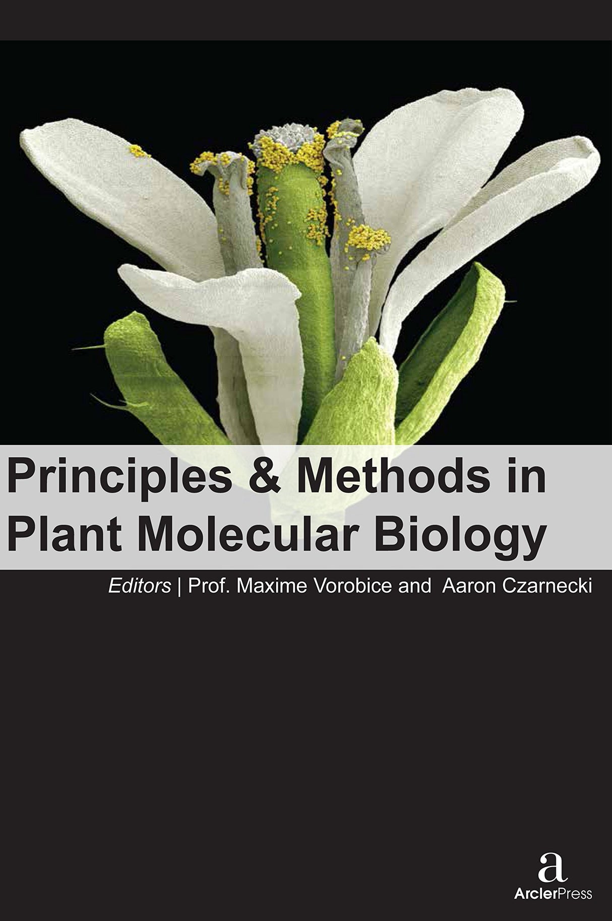 PRINCIPLES & METHODS IN PLANT MOLECULAR BIOLOGY - Retail Maharaj