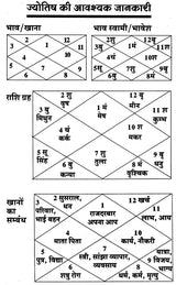 Vyavsaye Aur Jyotish [Hindi] By B.N. Arungiri - Retail Maharaj
