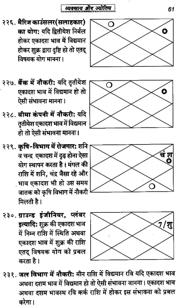 Vyavsaye Aur Jyotish [Hindi] By B.N. Arungiri - Retail Maharaj