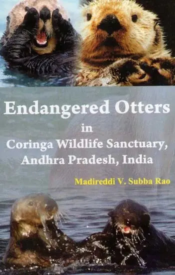 Endangered Otters in Coringa Wildlife Sancturay, Andhra Pradesh, India - Retail Maharaj