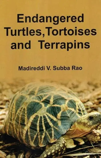 Endangered Turtles, Tortoises and Terrapins - Retail Maharaj