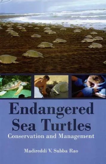 Endangered Sea Turtles- Conservation and Management - Retail Maharaj