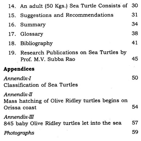 Endangered Sea Turtles- Conservation and Management - Retail Maharaj