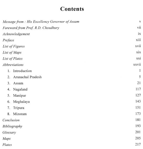 Archaeology of North East India - Retail Maharaj