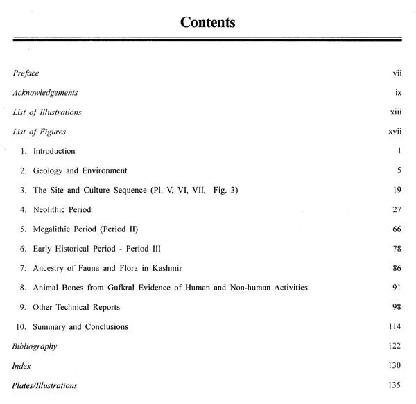 Excavation At Gufkral- Jammu and Kashmir - Retail Maharaj