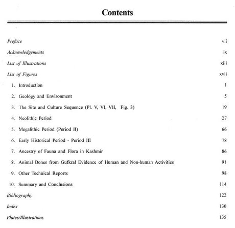 Excavation At Gufkral- Jammu and Kashmir - Retail Maharaj