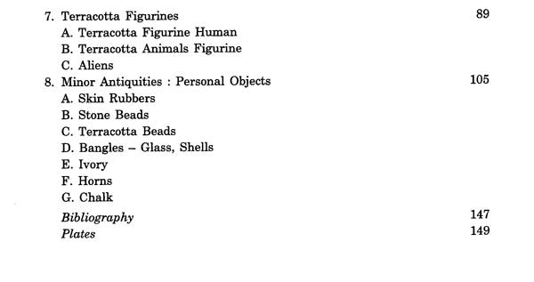 Further Excavations at Rajima - Retail Maharaj