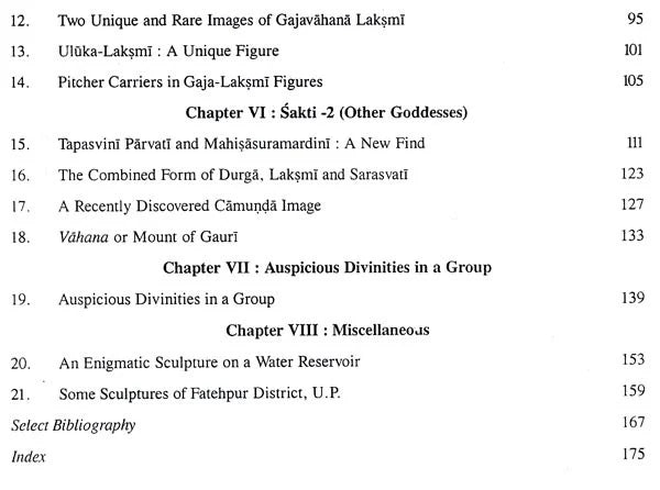 Indian Iconography- Musing in Some Unique and Unusual Sculptures - Retail Maharaj