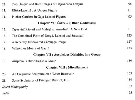 Indian Iconography- Musing in Some Unique and Unusual Sculptures - Retail Maharaj