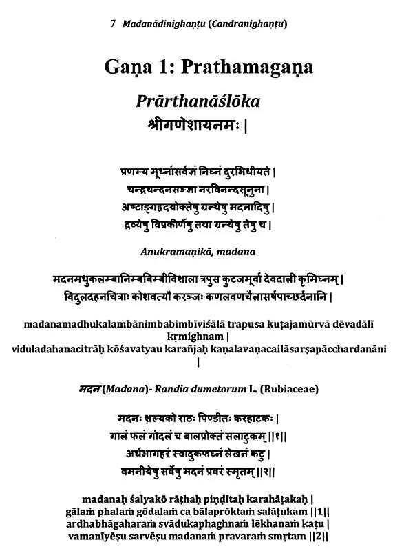 Madanadi Nighantu (Candranighantu) - Retail Maharaj