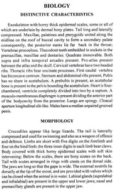 Handbook of Indian Crocodiles - Retail Maharaj