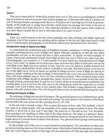 Cave Temples of India - Retail Maharaj