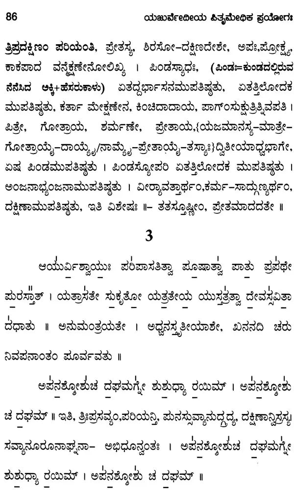 Yajurvedic Pitrimedhika Experiment (with First Dinadar-Chaturdah Stage Experiment-Tantra)- Kannada - Retail Maharaj