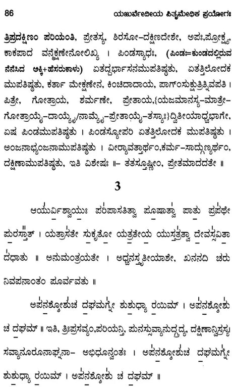 Yajurvedic Pitrimedhika Experiment (with First Dinadar-Chaturdah Stage Experiment-Tantra)- Kannada - Retail Maharaj