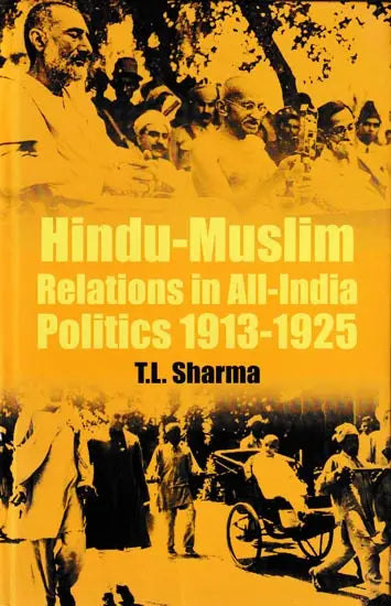 Hindu-Muslim Relations in All-India Politics 1913-1925 - Retail Maharaj