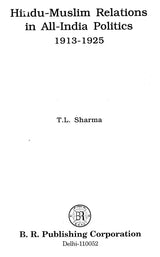 Hindu-Muslim Relations in All-India Politics 1913-1925 - Retail Maharaj