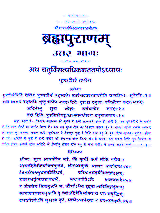 ब्रह्मपुराणम्  Brahmapuranam - Retail Maharaj