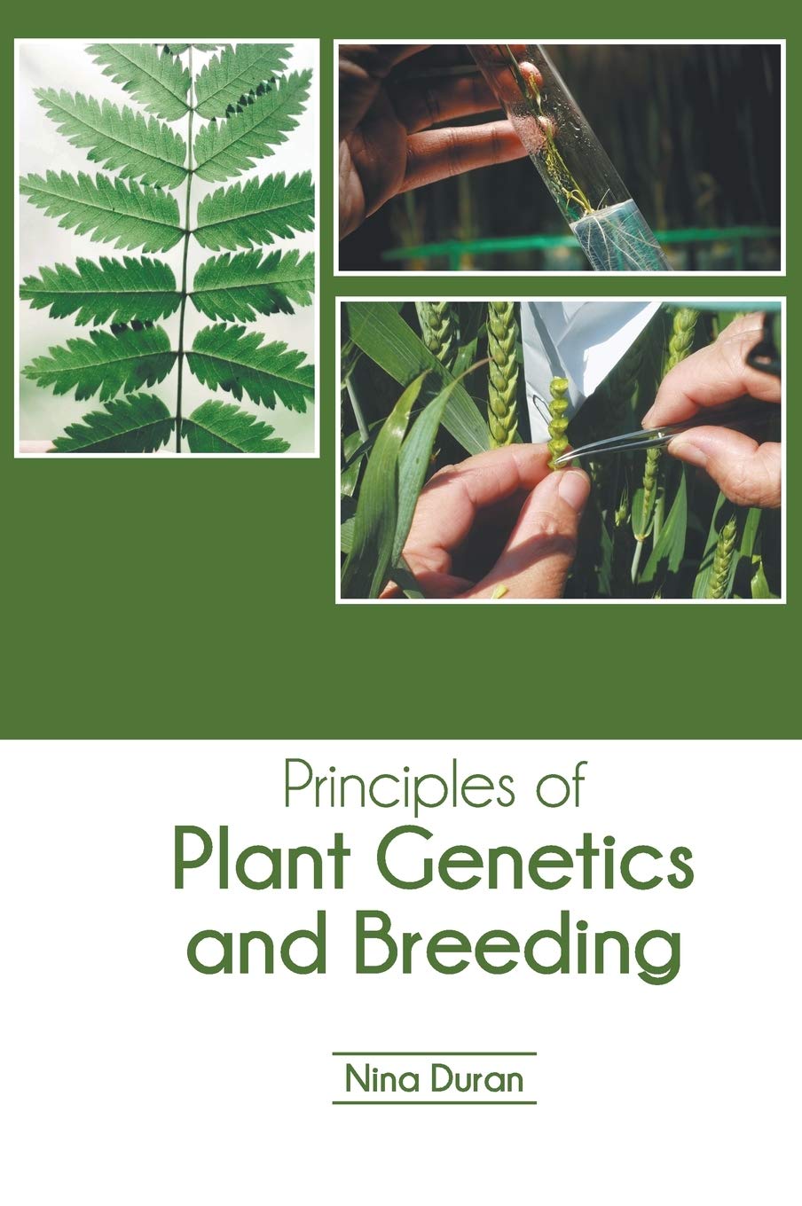 Principles of Plant Genetics and Breeding - Retail Maharaj