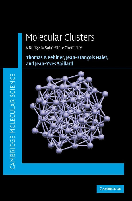 Molecular Clusters: A Bridge to Solid-State Chemistry (Cambridge Molecular Science) - Retail Maharaj