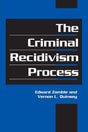 The Criminal Recidivism Process (Cambridge Studies in Criminology) - Retail Maharaj