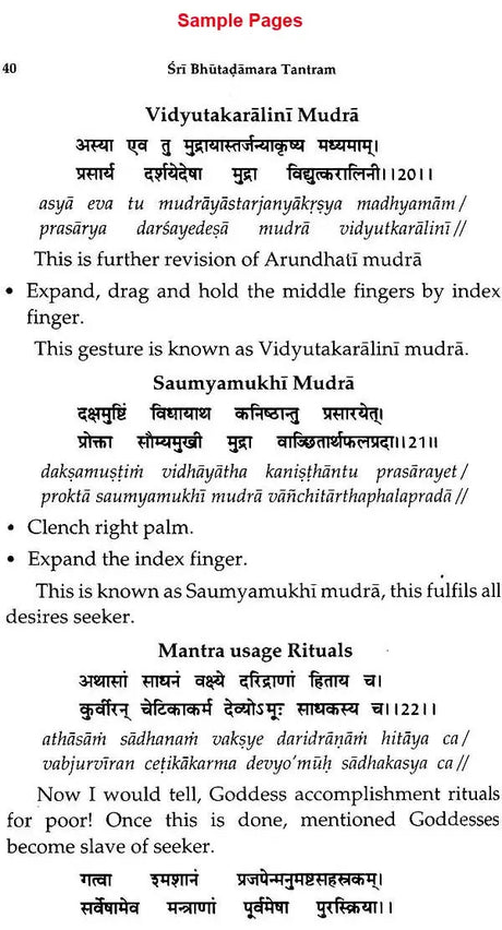 Bhuta - Damara Tantra [English] - Retail Maharaj