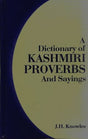 Dictionary of Kashmiri Proverbs and Sayings - Retail Maharaj