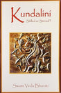 Kundalini Stilled or Stirred - Retail Maharaj