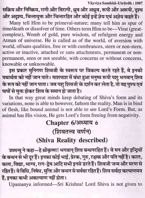 श्री शिव महापुराण: Sri Shiva Mahapuran- Stotras of Shiva, Shiva Mahapuran Mahatmya, Sapta Samhita and Eleven Volumes Complete (Hindi-English Bilingual in Set of 2 Volumes) - Retail Maharaj