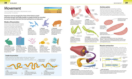Help Your Kids with Science: A Unique Step-by-Step Visual Guide, Revision and Reference - Retail Maharaj
