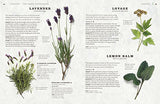 The Herb Garden for Cooks - Retail Maharaj