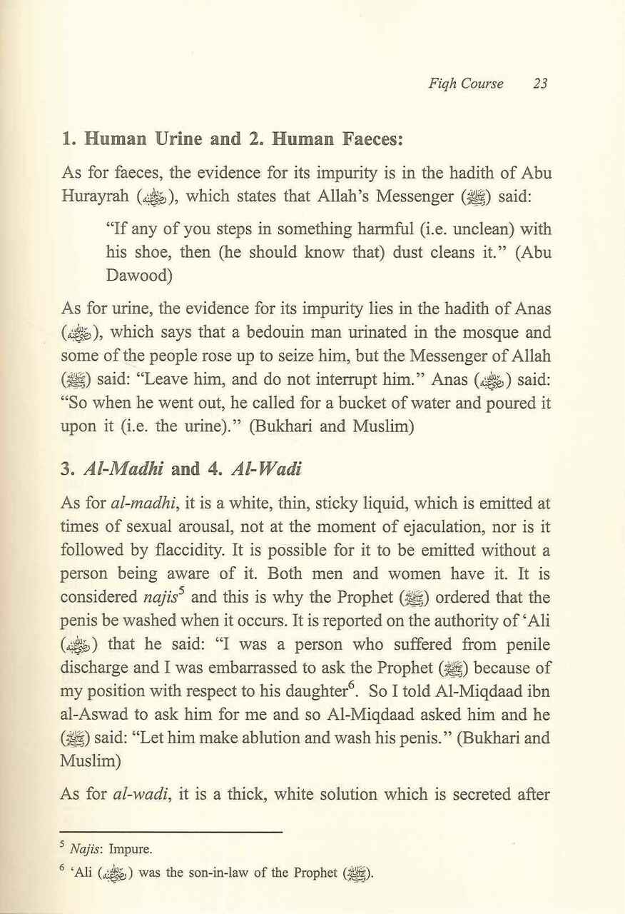The Evolution of Fiqh: Islamic Law and the Madh-habs - Retail Maharaj