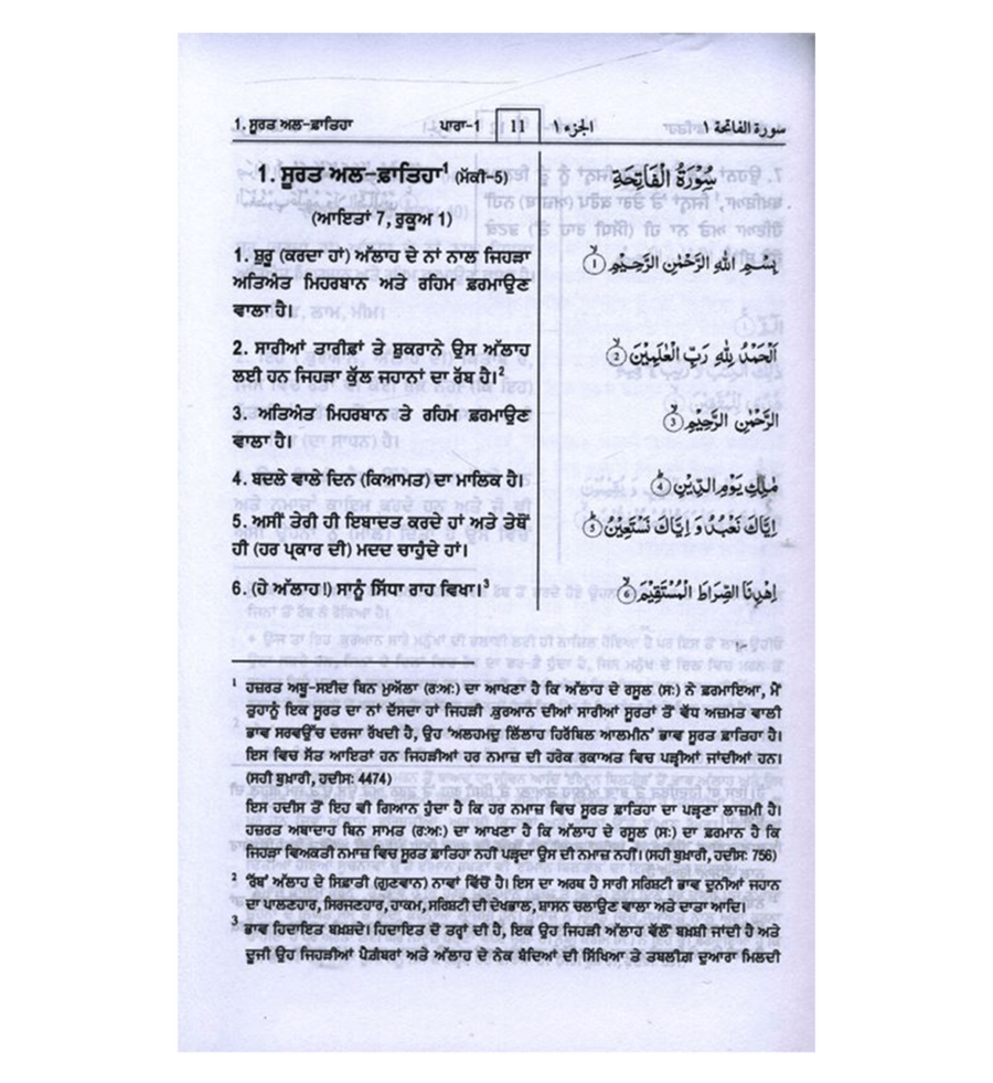 Interpretations of the Meanings of the Noble Quran – Gurmukhi Translation - Retail Maharaj