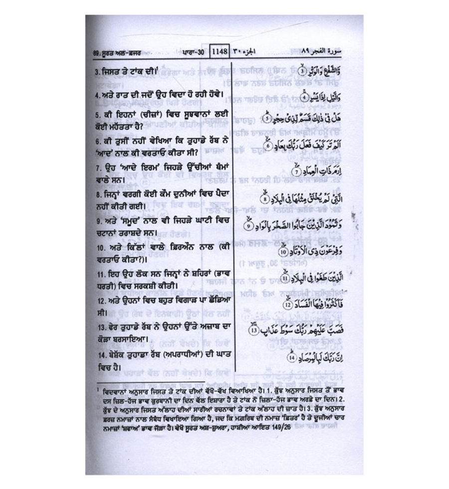 Interpretations of the Meanings of the Noble Quran – Gurmukhi Translation - Retail Maharaj
