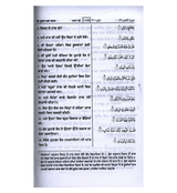 Interpretations of the Meanings of the Noble Quran – Gurmukhi Translation - Retail Maharaj