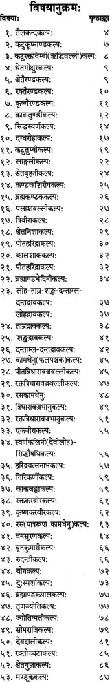 स्वर्ण-तन्त्रम (संस्कृत एवम हिन्दी अनुवाद)-Swarna Tantram - Retail Maharaj