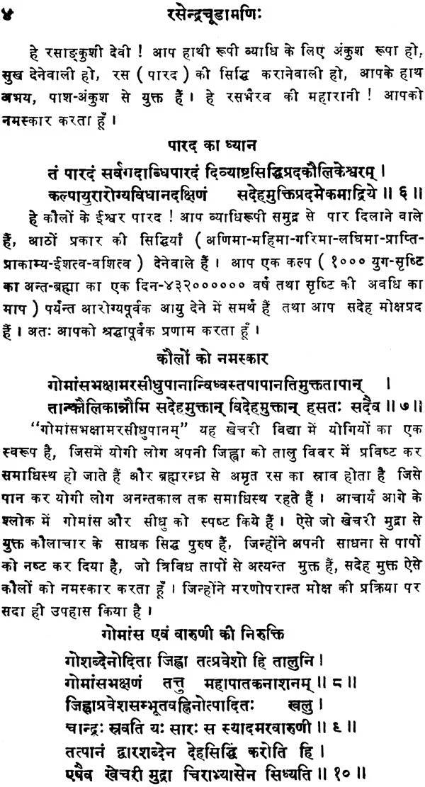 रसेन्द्रचूड़ामणि ("सिध्दि प्रदा"- हिन्दी व्याख्या सहित)- Rasendra Chudamani - Retail Maharaj