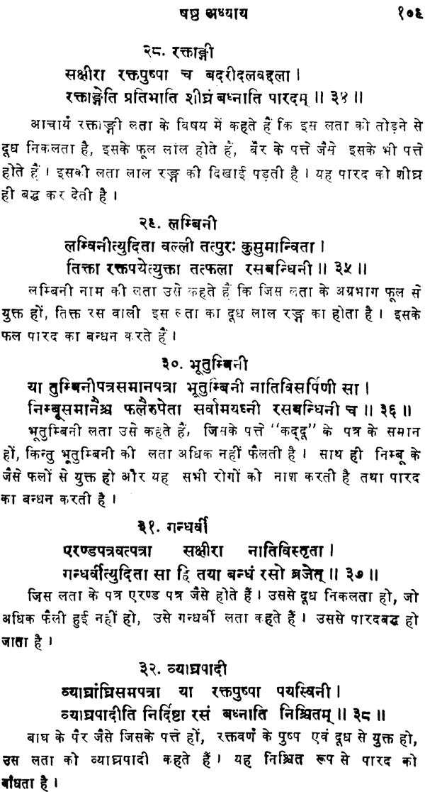 रसेन्द्रचूड़ामणि ("सिध्दि प्रदा"- हिन्दी व्याख्या सहित)- Rasendra Chudamani - Retail Maharaj